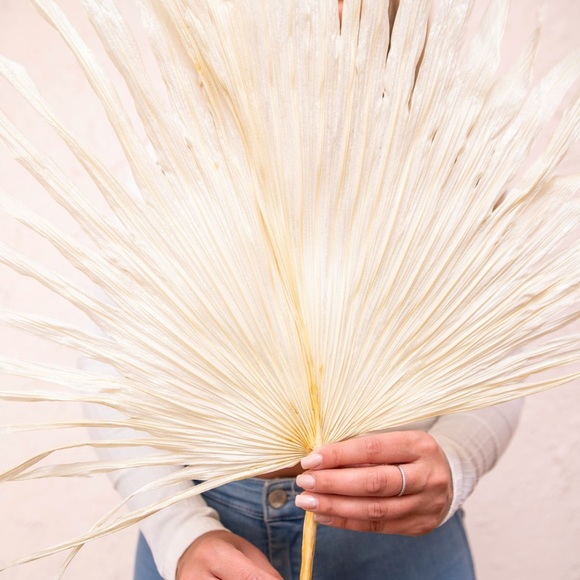 🌴 {10 Pack total }VeryLarge Organic Real Palm Leaves & Small Palm Leaves 🌴 - Picture 15 of 17